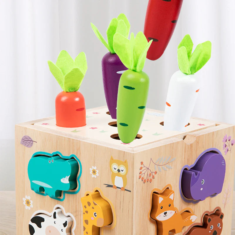 Multifunctional Toddler Learning Activity Cube